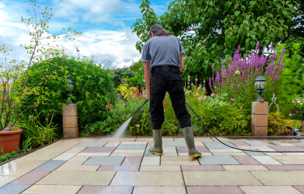 Best Animal Enclosure Cleaning  in Byron, GA